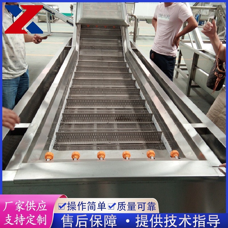 全自动果蔬清洗机 蓝莓粽叶清洗设备 不锈钢气泡清洗机 洗菜机图4