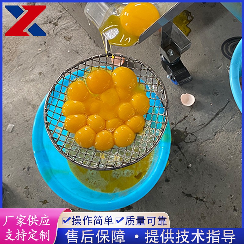 供应蛋黄蛋清分离机 蛋糕房商用敲蛋打蛋机 全自动双排磕蛋去壳机图5