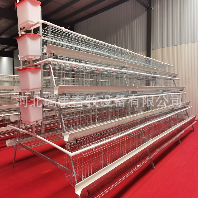 鸡笼厂家养殖设备 蛋鸡笼 肉鸡笼 小鸡龙 鹌鹑笼 可做全自动设备图5