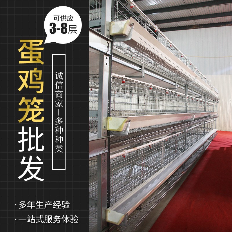 全自动框架蛋鸡笼养鸡设备自动清粪系统养殖设备镀锌大层叠养鸡笼