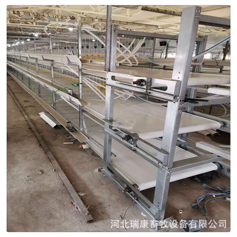 全自动框架蛋鸡笼养鸡设备自动清粪系统养殖设备镀锌大层叠养鸡笼图2