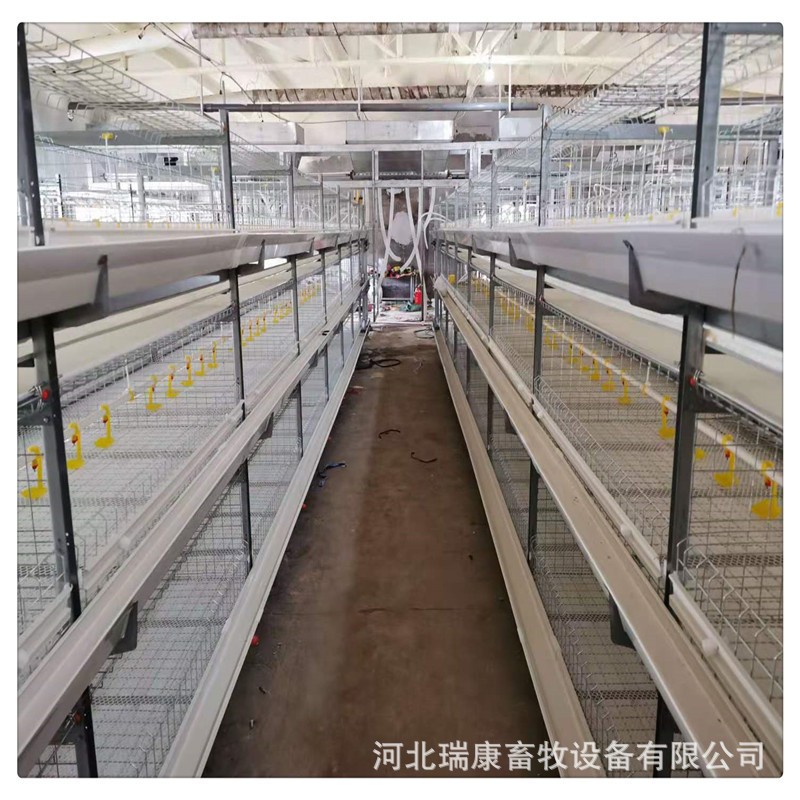 全自动框架蛋鸡笼养鸡设备自动清粪系统养殖设备镀锌大层叠养鸡笼图3