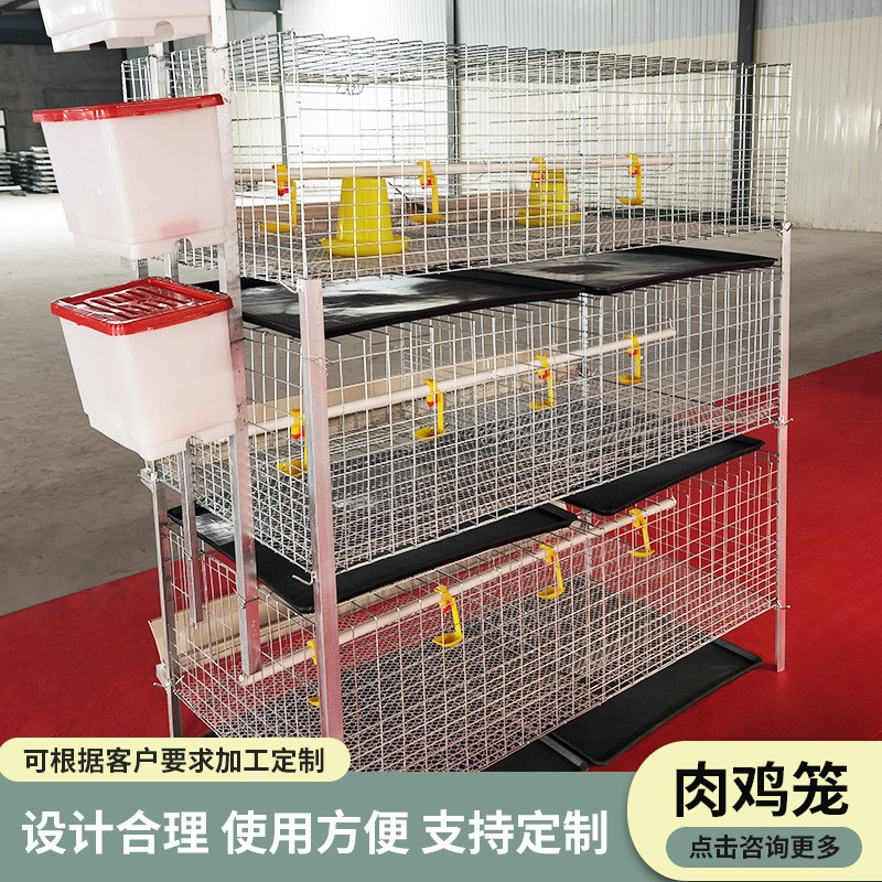 三层两门立体式肉鸡笼钢丝网养殖设备鸡笼子配件H型层叠式肉鸡笼图5