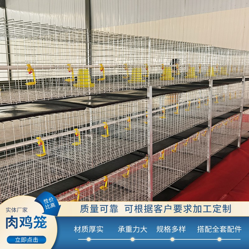 三层两门立体式肉鸡笼钢丝网养殖设备鸡笼子配件H型层叠式肉鸡笼图4