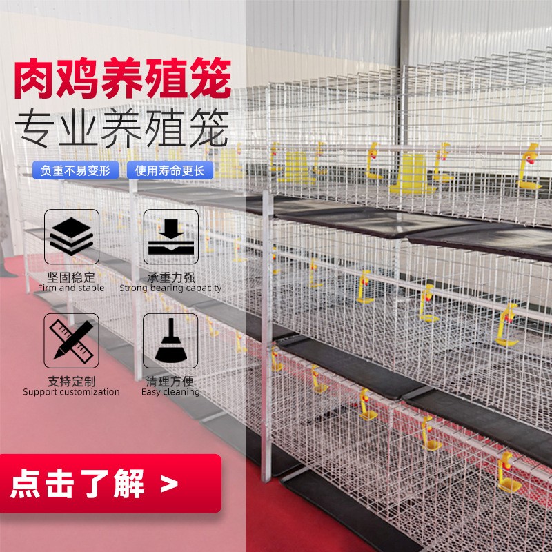 三层两门立体式肉鸡笼钢丝网养殖设备鸡笼子配件H型层叠式肉鸡笼