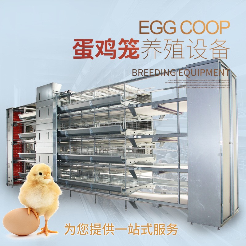 蛋鸡笼养殖设备热镀锌全自动鸡笼立体式养鸡设备自动化层叠养鸡笼