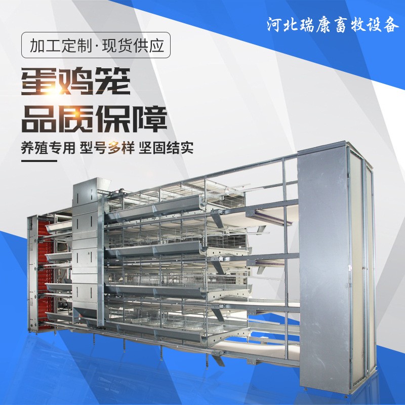 蛋鸡笼养殖设备热镀锌全自动鸡笼立体式养鸡设备自动化层叠养鸡笼图3