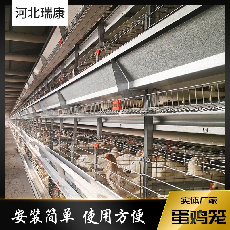 蛋鸡笼养殖设备热镀锌全自动鸡笼立体式养鸡设备自动化层叠养鸡笼图4