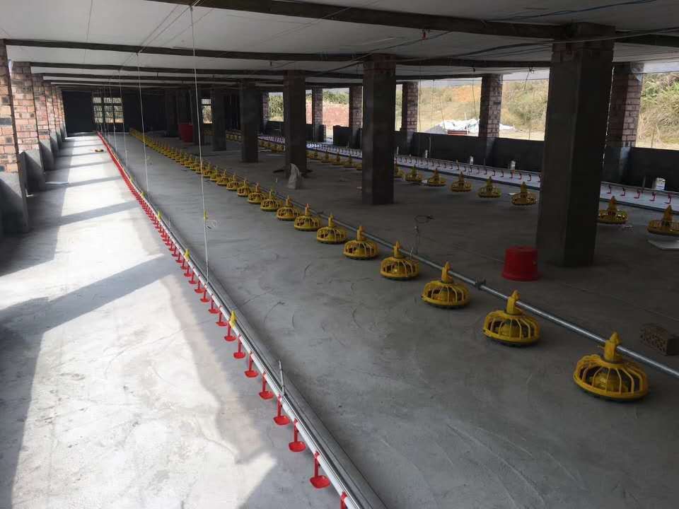 鸡用自动水线 肉鸡料线 散养鸡自动水线 料线 鸡用水线 鸡用料线图3