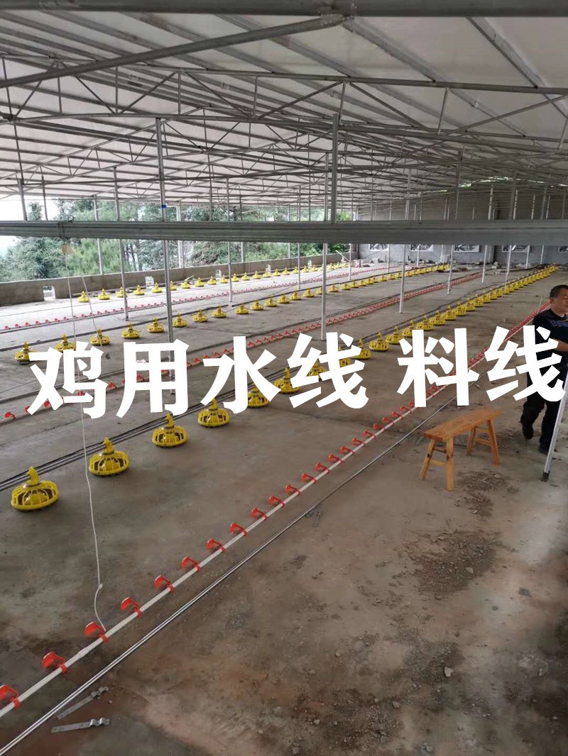 鸡用自动水线 肉鸡料线 散养鸡自动水线 料线 鸡用水线 鸡用料线图2
