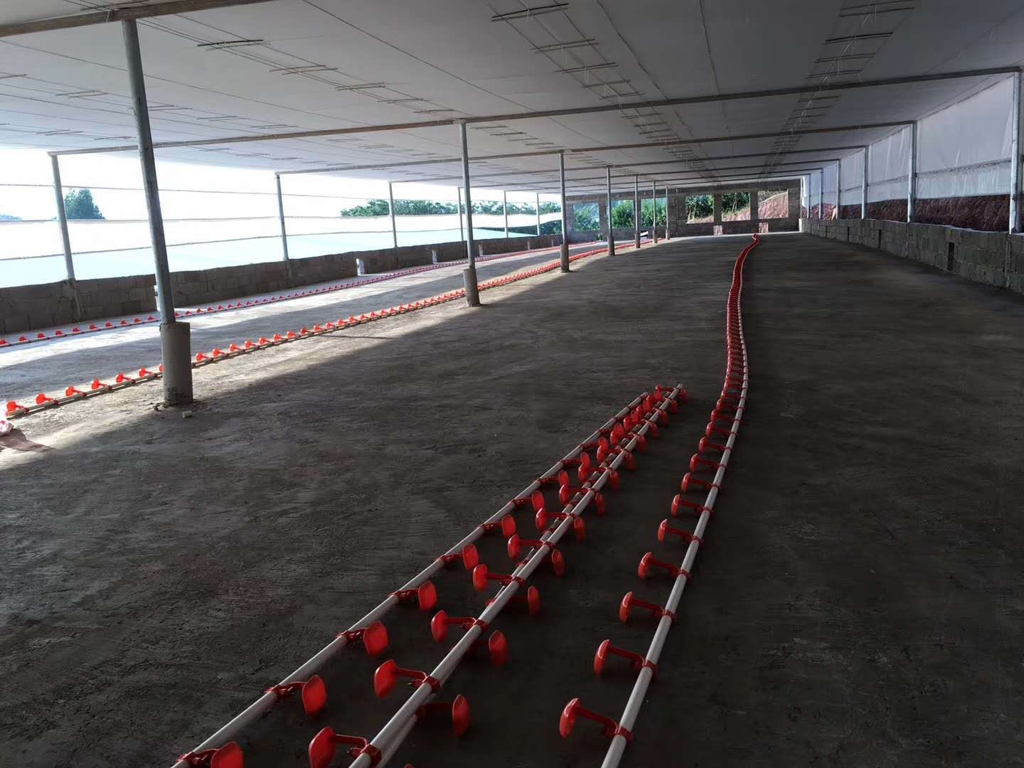 鸡用自动水线 肉鸡料线 散养鸡自动水线 料线 鸡用水线 鸡用料线图5