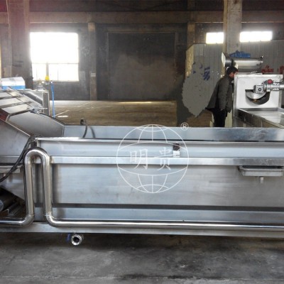 秋葵萝卜片漂洗冷却线 自动果蔬鼓泡式清洗机 带毛辊可除毛发