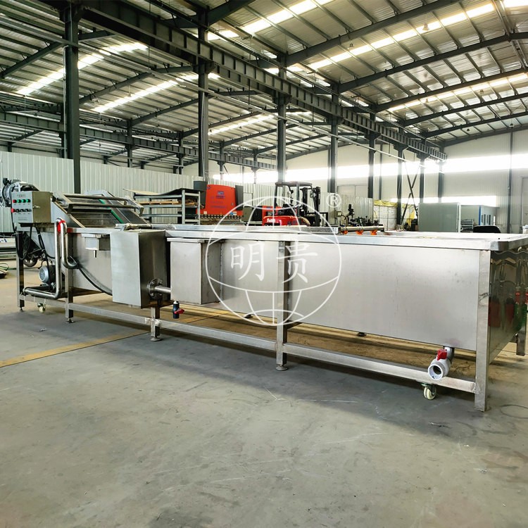 秋葵萝卜片漂洗冷却线 自动果蔬鼓泡式清洗机 带毛辊可除毛发图4