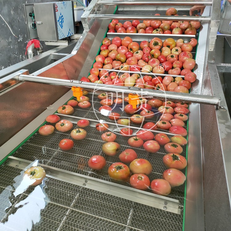 秋葵萝卜片漂洗冷却线 自动果蔬鼓泡式清洗机 带毛辊可除毛发图3