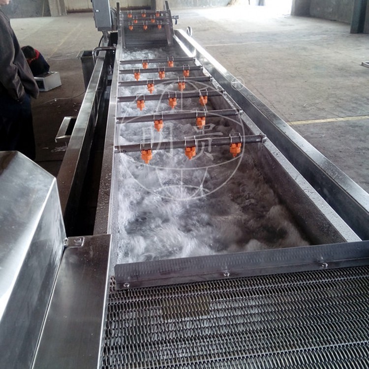 秋葵萝卜片漂洗冷却线 自动果蔬鼓泡式清洗机 带毛辊可除毛发图2