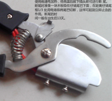 断尾钳猪用电热剪尾钳子电热钳子养殖设备电热断尾钳猪羊用图4