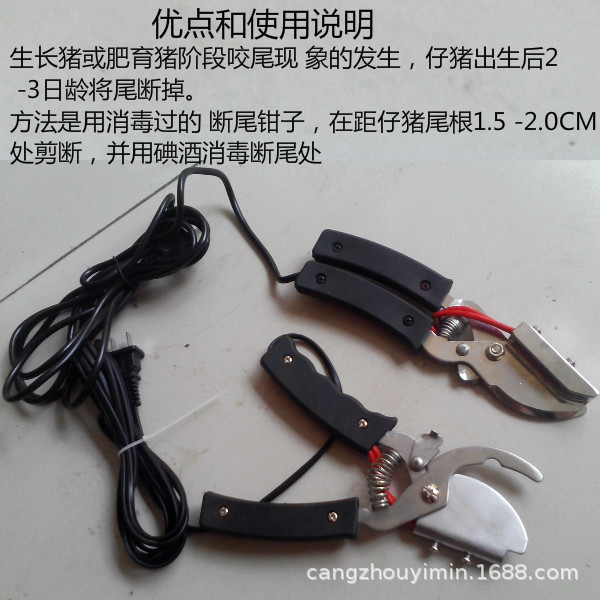 小猪断尾钳子