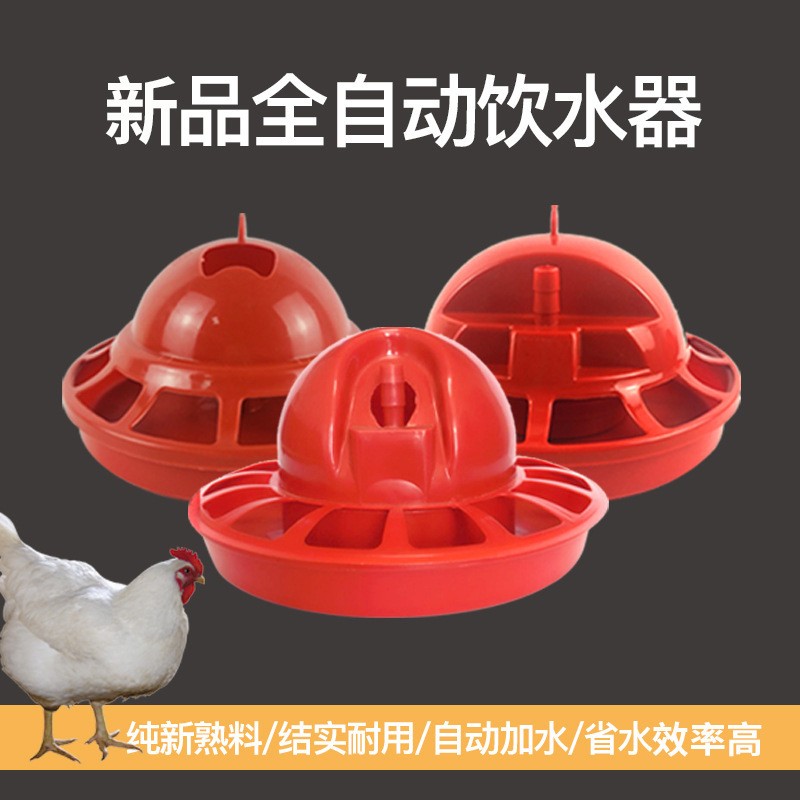 厂家批发自动鸡用饮水器 喂水器鸟水壶水桶 鸡饮水器贴牌