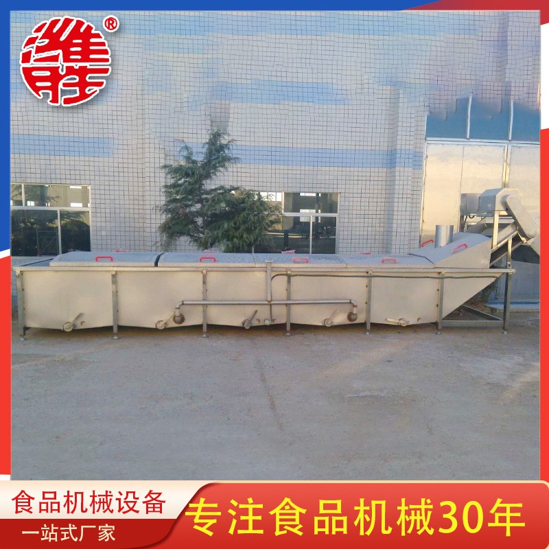 商用蔬菜漂烫预冷流水作业线 全自动果蔬漂烫机设备 藕带蒸煮机图2