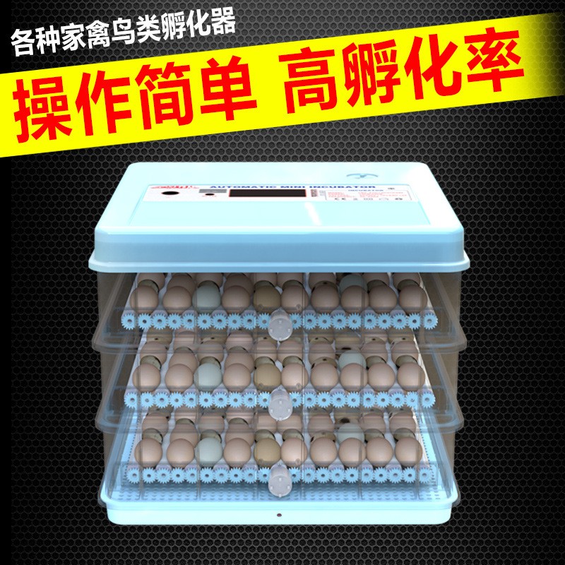 智能280枚全自动孵化机自动孵蛋器小型210枚孵化器工厂店高岀雏率图2