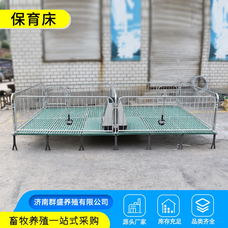 单体母猪产床分娩床复合保育床 养母猪专用养殖设备产床保育床图2