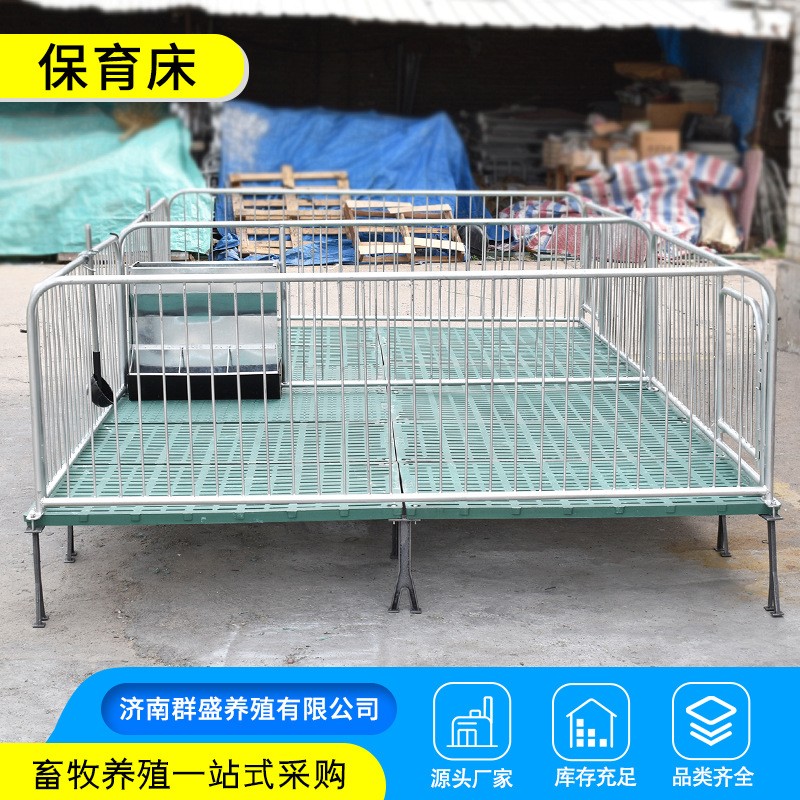 包邮国标镀锌保育床 加厚加重带电热板仔猪育雏床产床保育栏现货图2