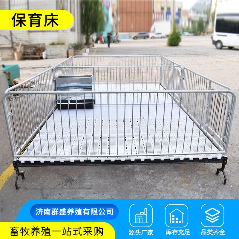包邮国标镀锌保育床 加厚加重带电热板仔猪育雏床产床保育栏现货图3