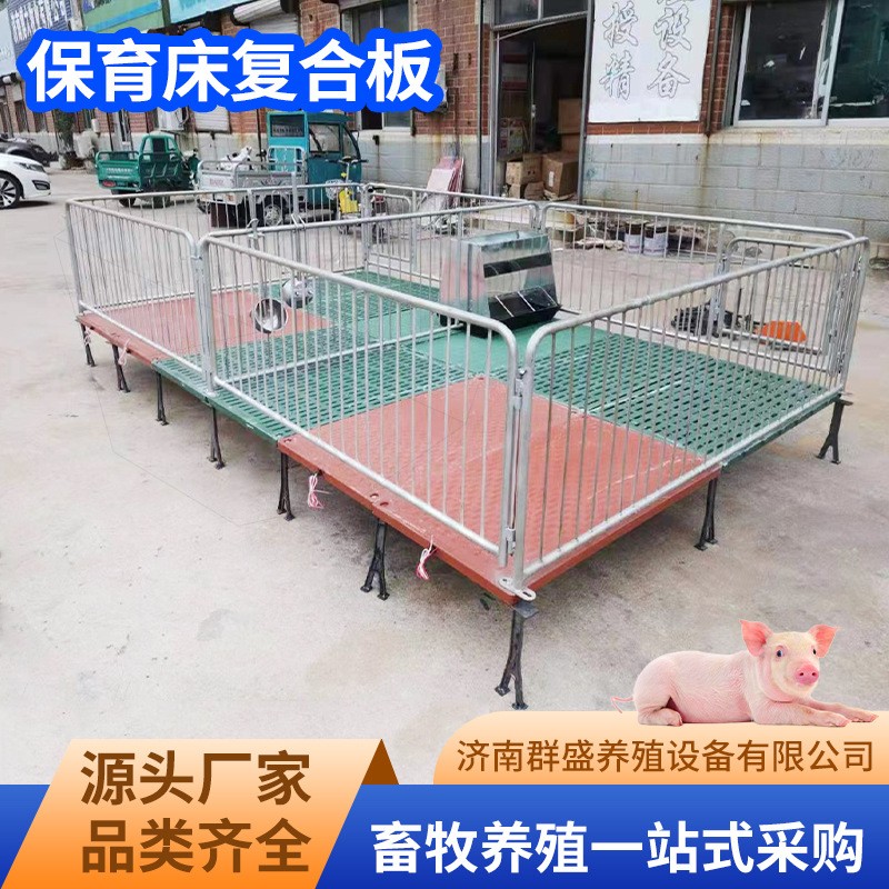 养猪场保育床复合板带加热保温板牲畜母猪产床热镀锌管焊接图3