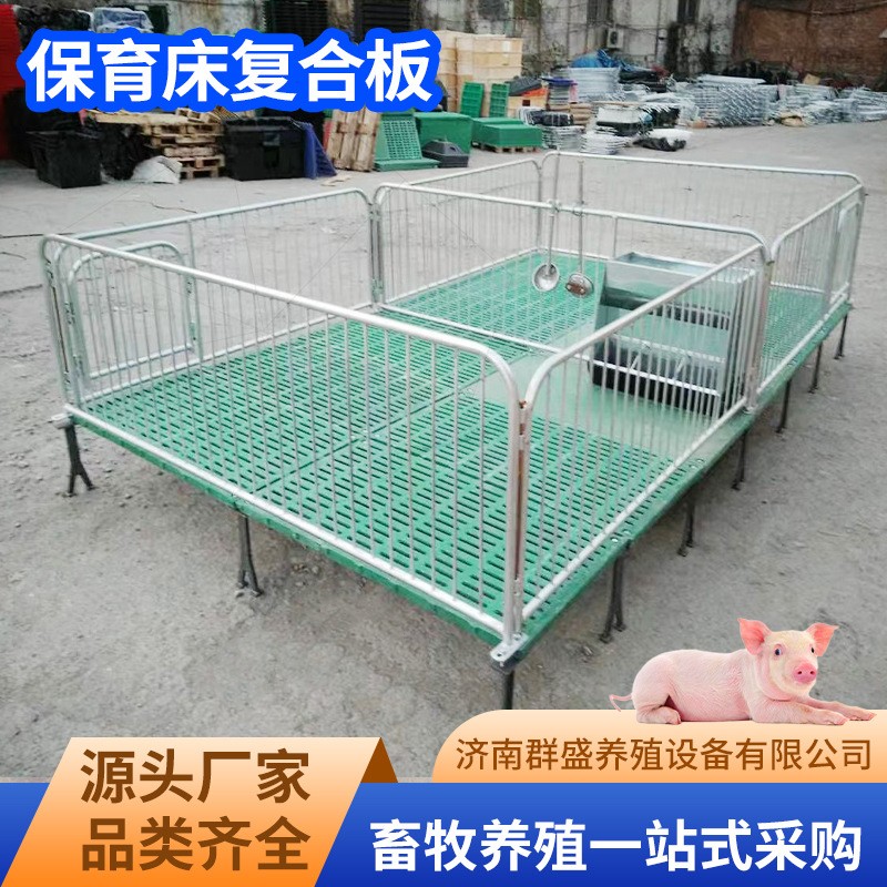 养猪场保育床复合板带加热保温板牲畜母猪产床热镀锌管焊接图4
