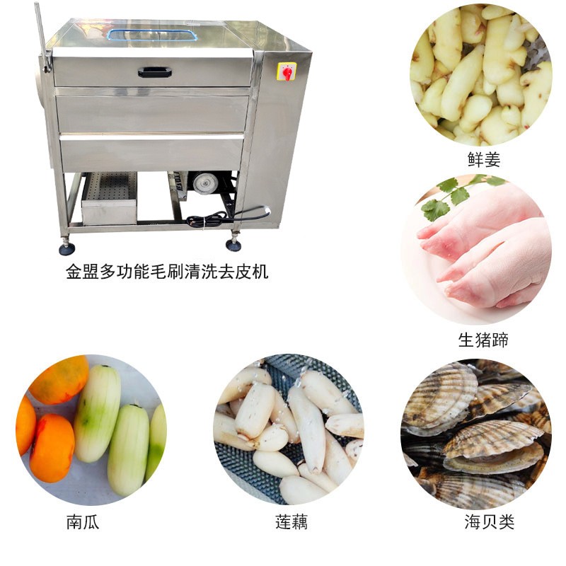 毛刷辊商用土豆去皮机 全自动萝卜削皮机 小型芋头红薯清洗脱皮机图5