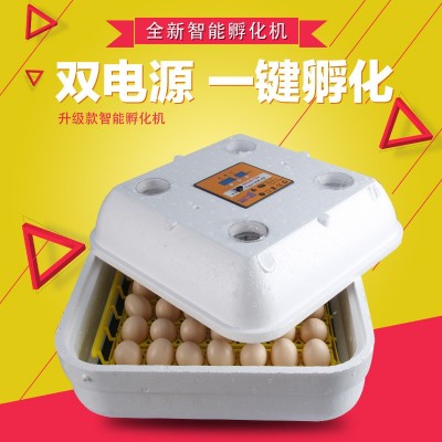 伊科贝特42枚孵化机 小型孵化机 家庭微型孵化器 孵化箱 出口产品