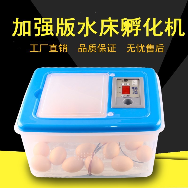 伊科贝特水床孵化机升级版 32枚PP料家用小型孵化器鸡鸭鹅孵化箱