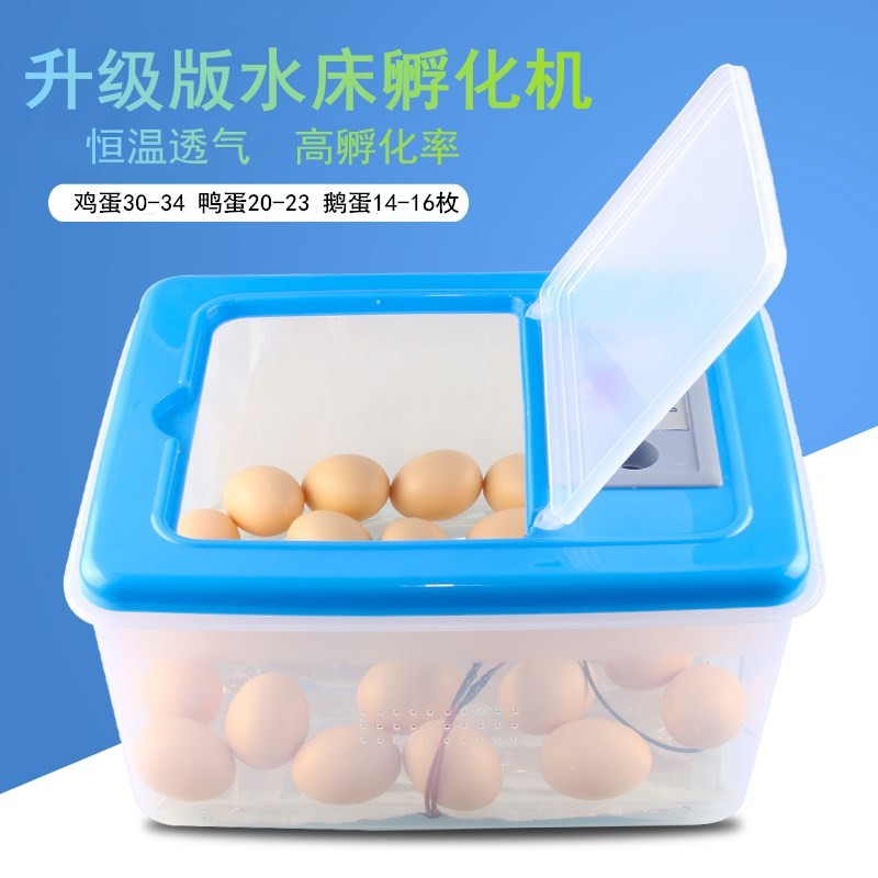伊科贝特水床孵化机升级版 32枚PP料家用小型孵化器鸡鸭鹅孵化箱图2