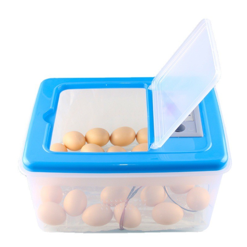 伊科贝特水床孵化机升级版 32枚PP料家用小型孵化器鸡鸭鹅孵化箱图5