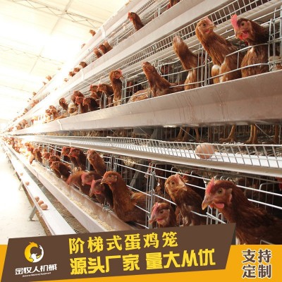 常年供应养殖热镀锌阶梯层蛋鸡笼设备批发 厂家批发阶梯式蛋鸡笼