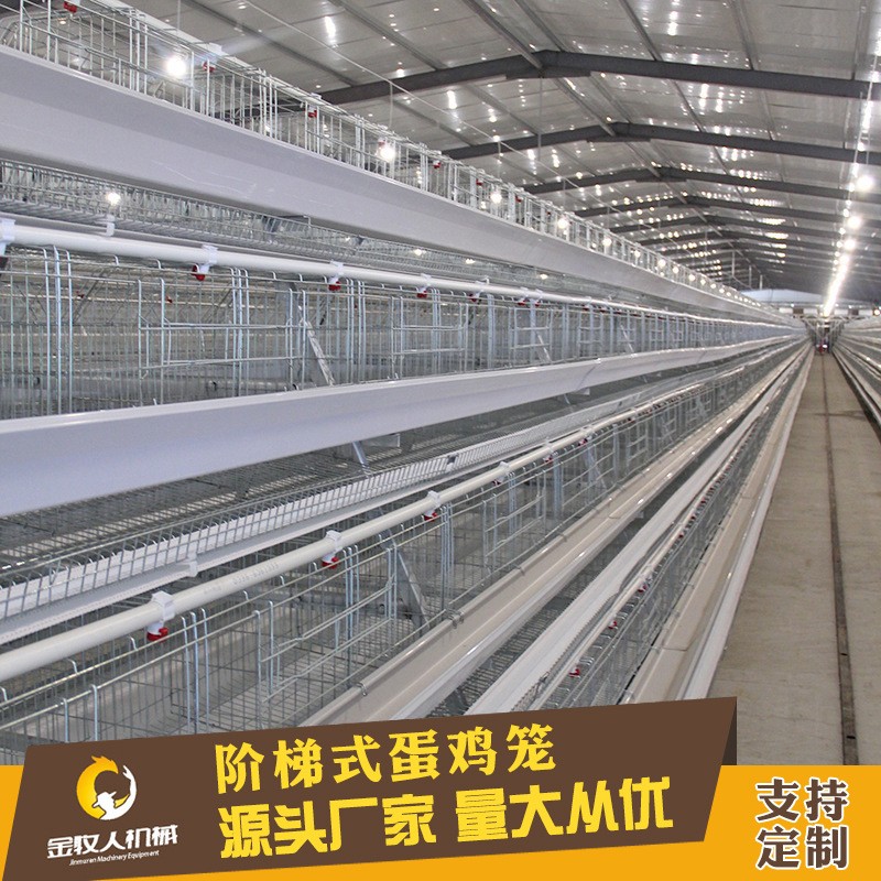 常年供应养殖热镀锌阶梯层蛋鸡笼设备批发 厂家批发阶梯式蛋鸡笼图4