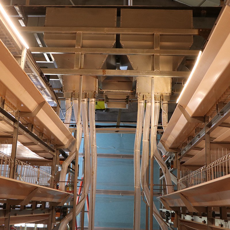 供应肉鸡笼养设备 小层叠肉鸡笼 鸡笼厂家养殖设备量大从优图3
