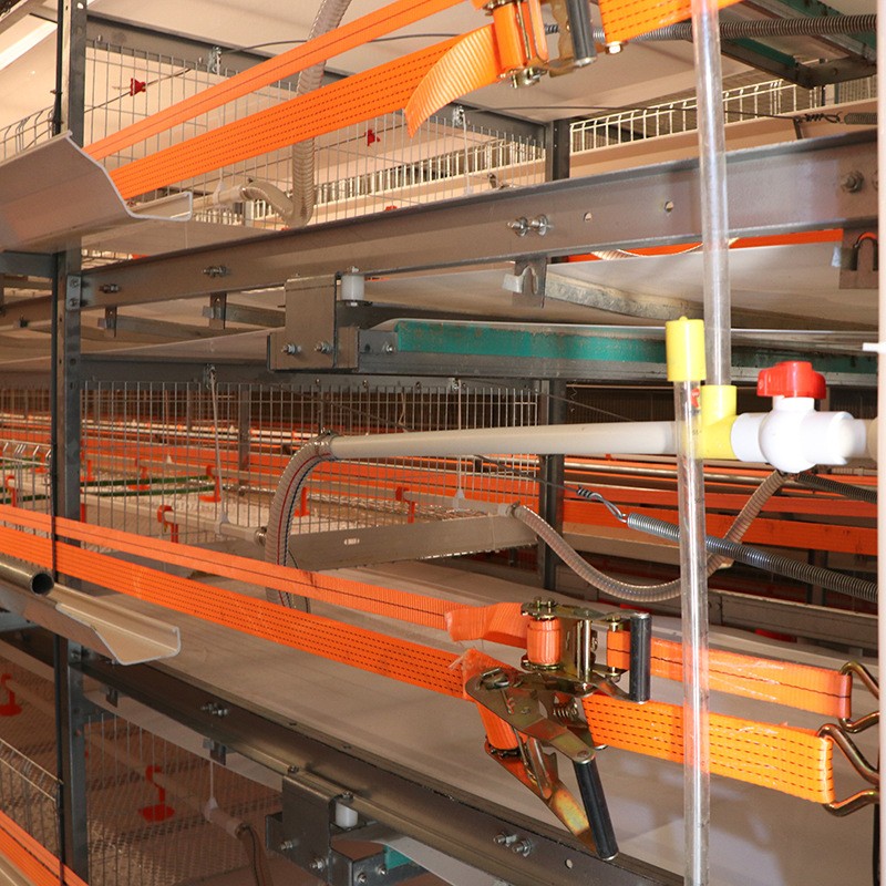 供应肉鸡笼养设备 小层叠肉鸡笼 鸡笼厂家养殖设备量大从优图5