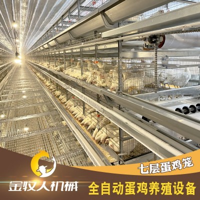 七层蛋鸡笼 自动化层叠蛋鸡笼 养鸡设备笼具养殖厂家供应