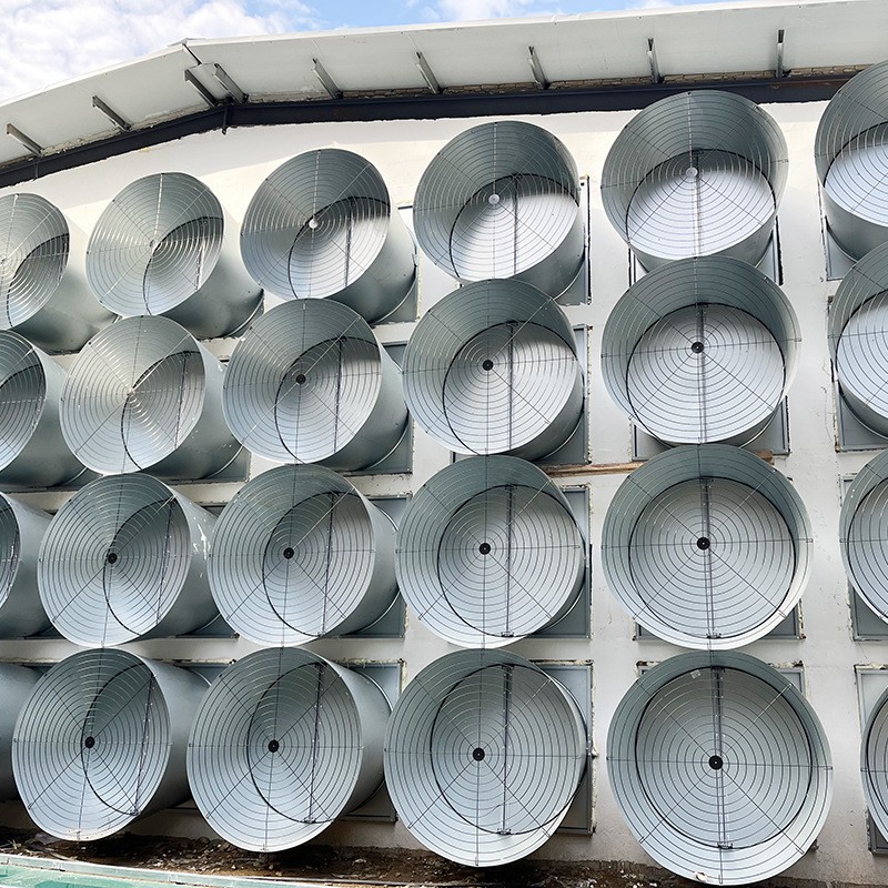 七层蛋鸡笼 自动化层叠蛋鸡笼 养鸡设备笼具养殖厂家供应图4