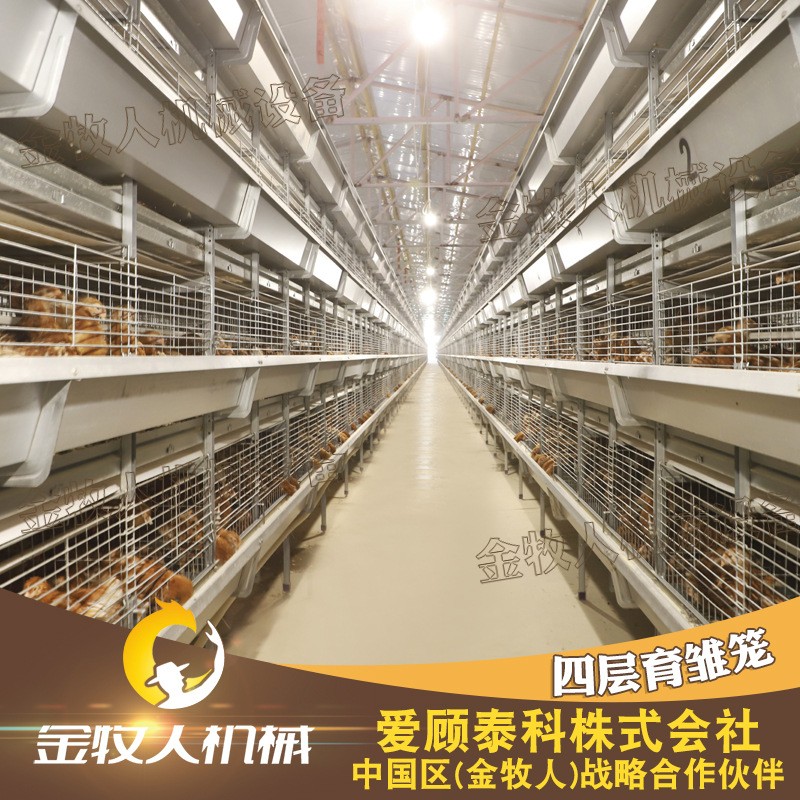大量批发鸡笼 小鸡笼育雏笼 自动化养殖笼具 鸡苗育雏笼子图2