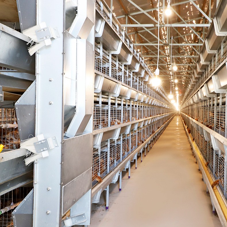 大量批发鸡笼 小鸡笼育雏笼 自动化养殖笼具 鸡苗育雏笼子图5