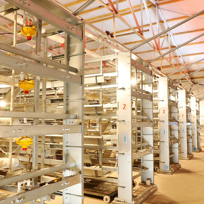 大量批发鸡笼 小鸡笼育雏笼 自动化养殖笼具 鸡苗育雏笼子图4