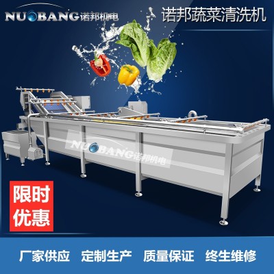 厂家销售柠檬片清洗机 全自动气泡喷淋果蔬清洗机 蓝莓果洗果机