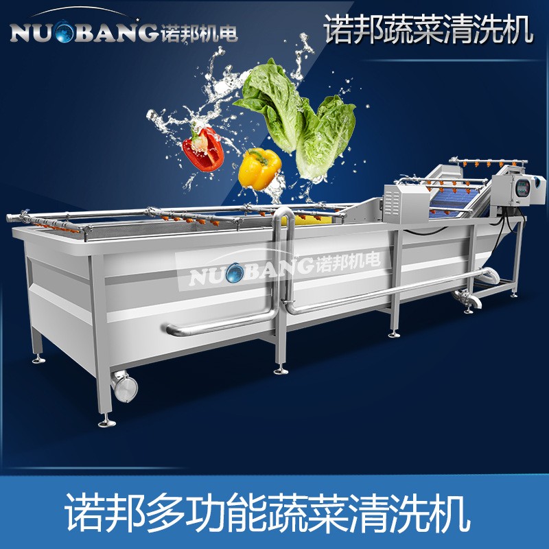 厂家销售柠檬片清洗机 全自动气泡喷淋果蔬清洗机 蓝莓果洗果机图2