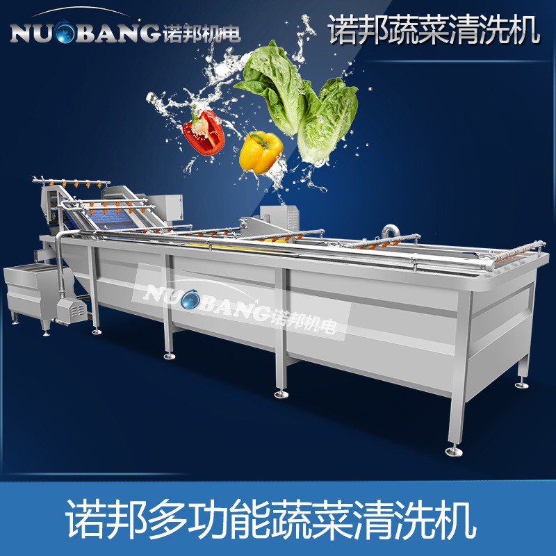 厂家销售柠檬片清洗机 全自动气泡喷淋果蔬清洗机 蓝莓果洗果机图4