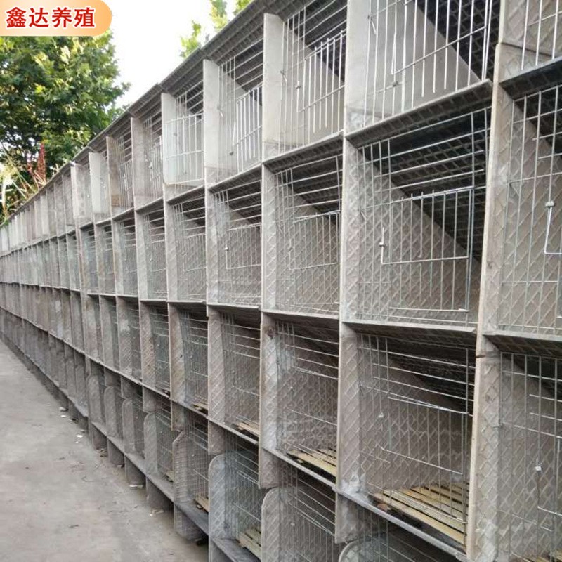 批发多位兔笼 养殖用竹底板铁丝网水泥兔笼 饲喂设备水泥子母兔笼图3
