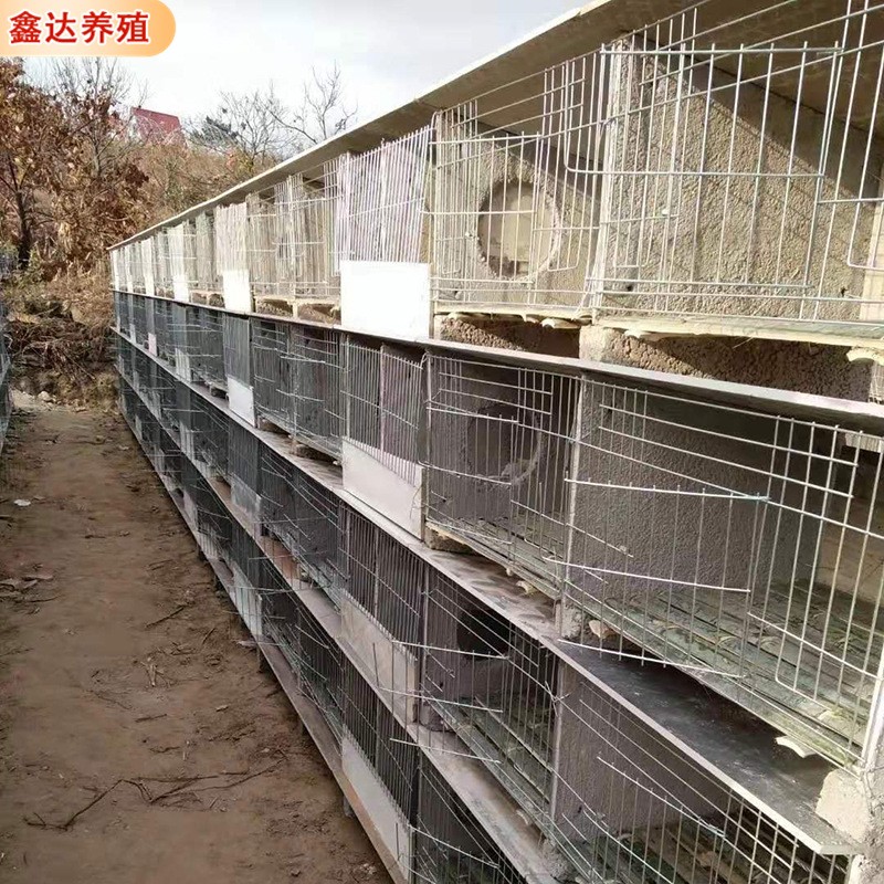 批发多位兔笼 养殖用竹底板铁丝网水泥兔笼 饲喂设备水泥子母兔笼图4
