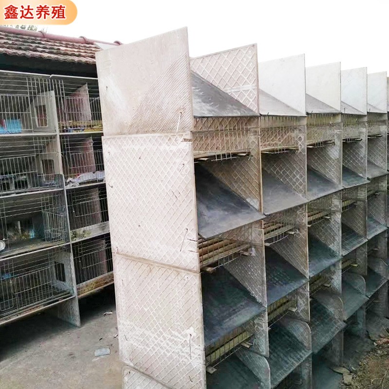 批发多位兔笼 养殖用竹底板铁丝网水泥兔笼 饲喂设备水泥子母兔笼图5