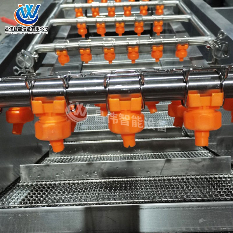 全自动水果清洗机 柠檬气泡清洗风干机 草莓涡流气泡清洗机制造商图3